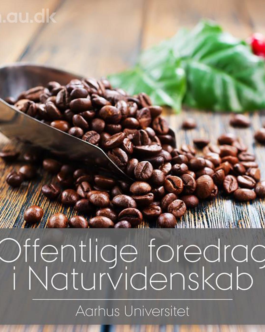 kaffe.jpeg